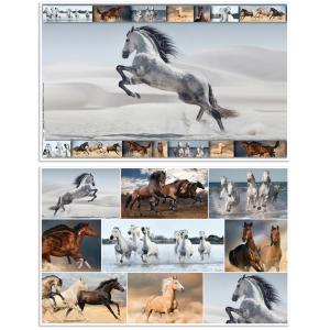 Schreibunterlage Pferde 55x35 cm HERMA 19380 (4008705193801)