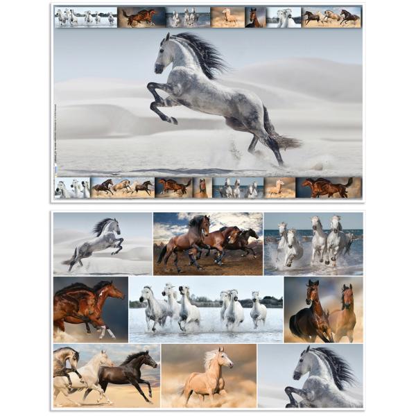 Schreibunterlage Pferde 55x35 cm HERMA 19380 (4008705193801)