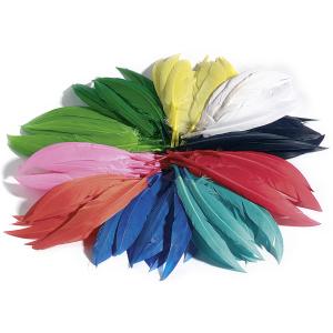 Indianerfedern, 100 g, farbig sortiert folia 55109 (4001868551099)