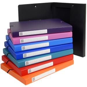 Sammelbox Opaque, aus PP, 40 mm, farbig sortiert EXACOMPTA 5970E (3130630059707)