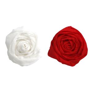 Krepp-Papier, (B)500 mm x (L)2, 5 m, rosa Clairefontaine 95160C (3329680951608)