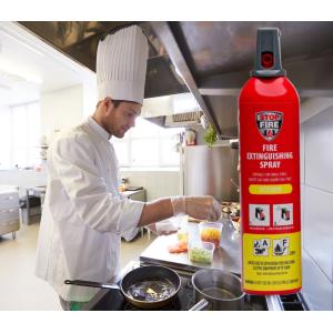 REINOLD MAX Feuerlösch-Spray 'KITCHEN', 750 ml 044041 (4771620842658)