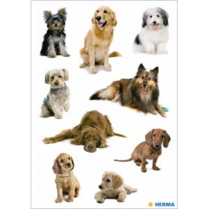Sticker DECOR 'Hundewelpen' HERMA 5606 (4008705056069)