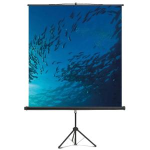 Stativ-Leinwand Standard, (B)1.500 x (H)1.500 mm magnetoplan 6100112 (4013695035871)