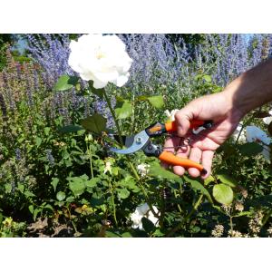 Damen-Gartenschere, Länge: 178 mm Garten PRIMUS 01020 (4260299540038)