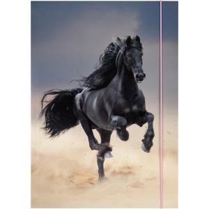 Zeichnungsmappe BASIC 'Roaring Tiger', Karton, DIN A3 folia 69004 (4001868126990)