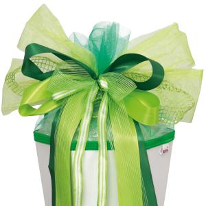 XXL-Schultütenschleife 'Green Spirit', grün ROTH 679702 (4028279003573)