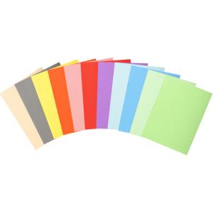 Aktendeckel FOREVER 180, DIN A4, grau EXACOMPTA 420009E (3288584200093)
