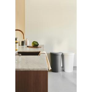 Abfalleimer SEATTLE, 45 Liter, silber plast team 13590802 (5707672746636)