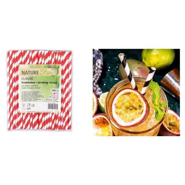 Papiertrinkhalme Classic, 197 mm, grün/ weiß NATURE Star 421070 (4015544717051)