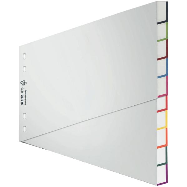 Kunststoff-Register, blanko, A4 Überbreite, 20-teilig LEITZ 1278-00-00 (4002432301799)