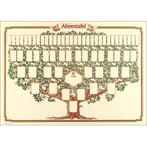 Schmuck-Ahnentafel Skizzierter Baum 6 Generationen (BxH): 70x50 cm 190g qm RNK 2808 (4002871280808)