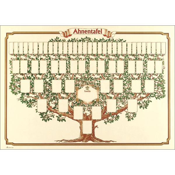 Schmuck-Ahnentafel Skizzierter Baum 6 Generationen (BxH): 70x50 cm 190g qm RNK 2808 (4002871280808)