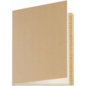 Pultordner 1 - 31, DIN A4, 31 Fächer extendos 74ECO31 (3068597431178)