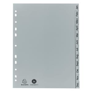 Exacompta Ordnerregister Vollformat Jan.-dez. Grau 12-teilig, 1 Satz 1812B (3130634018120)