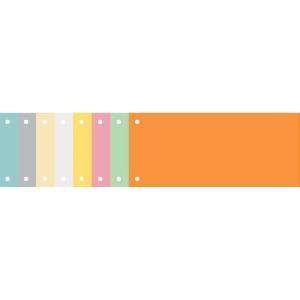 Trennstreifen Recycling, 105 x 240 mm, gelb EXACOMPTA 13425B (3130630134251)