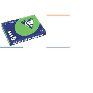 Multifunktionspapier Trophee, A3, grün Clairefontaine 1114PC (3329680111408)