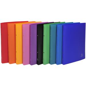 Ringbuch, PP, 2-Ring-Mechanik, DIN A4, sortiert EXACOMPTA 54199E (3130631541997)