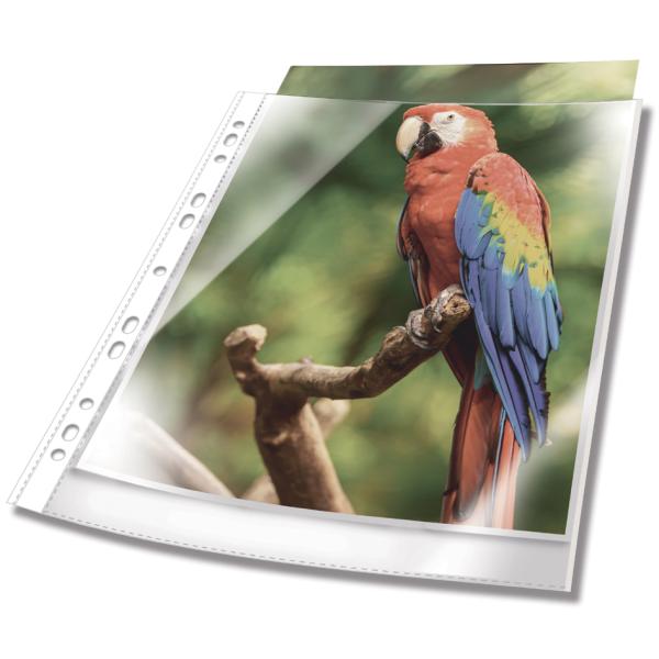 Prospekthülle PREMIUM, DIN A4, PP, Rand blau DURABLE 265406 (4005546735276)