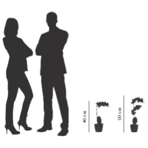 Kunstpflanze 'Orchidee', rose, Höhe: 500 mm PAPERFLOW PAORCH50 (3660141963434)