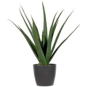 Kunstpflanze 'Aloe Vera', Höhe: 450 mm PAPERFLOW PAALOE45 (3660141963533)