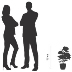 Meet Powered By Paperflow Pfingstrose Kunstpflanze 55,0 Cm PAPIVB55 (3660141963625)