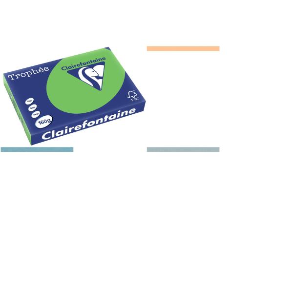 Multifunktionspapier, DIN A3, tannengrün Clairefontaine 1046C (3329680104608)