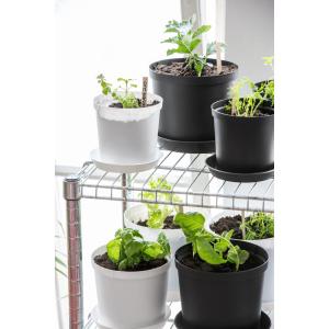 Blumentopf CULTIVATE, Durchmesser: 270 mm, grau orthex 2540015 (7332462100336)