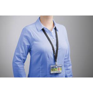 Kartenhalter PERMANENT, für 1 Karte DURABLE 892819 (4005546994390)