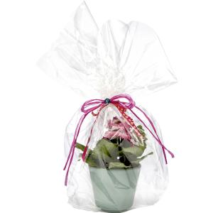 Geschenkfolie, 20 my, unbedruckt, 500 mm x 5 m folia 298/5 (4001868298055)