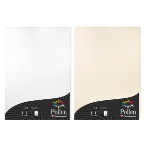 Papier DIN A4, minze Pollen by Clairefontaine 4215C (3329680421507)