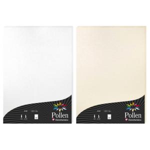 Papier DIN A4, chamois Pollen by Clairefontaine 4296C (3329680042962)