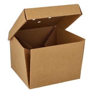 Burgerbox 'pure' faltbar, Maße: 130 x 130 x 100 mm PAPSTAR 89257 (4002911713341)