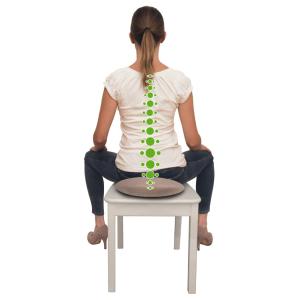 Rückenstützkissen 'Seat Cushion Fit+', rund SCHILDKRÖT 960037 (4000885600377)