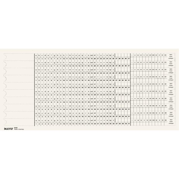 Organisations-Streifen, Skala 3 / Skala 4, weiß LEITZ 6162-00-01 (4002432324873)